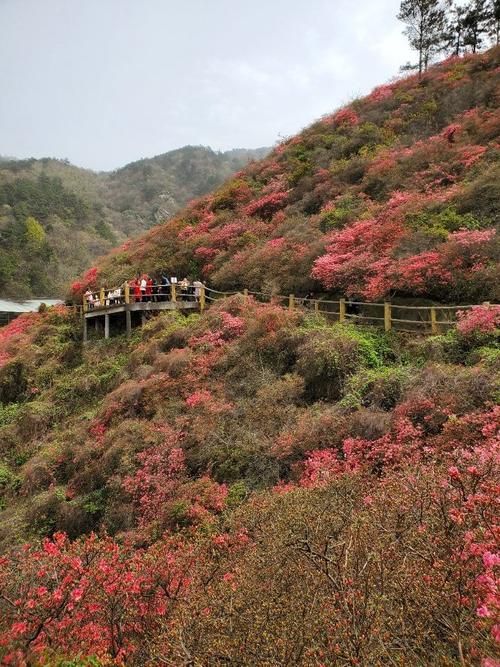 木兰云雾山要爬多久？木兰云雾山停车收费吗