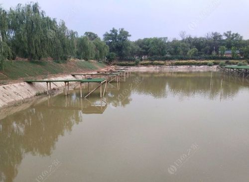 解忧湖钓鱼从几点开始?阳光湖钓鱼收费标准-图2 解忧湖钓鱼从几点开始?阳光湖钓鱼收费标准-图2
