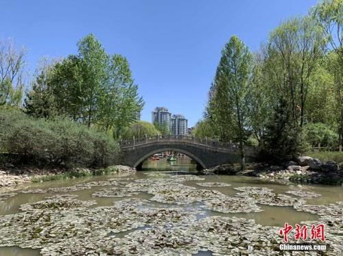西宁十大公园排名？西宁市海棠公园收费吗