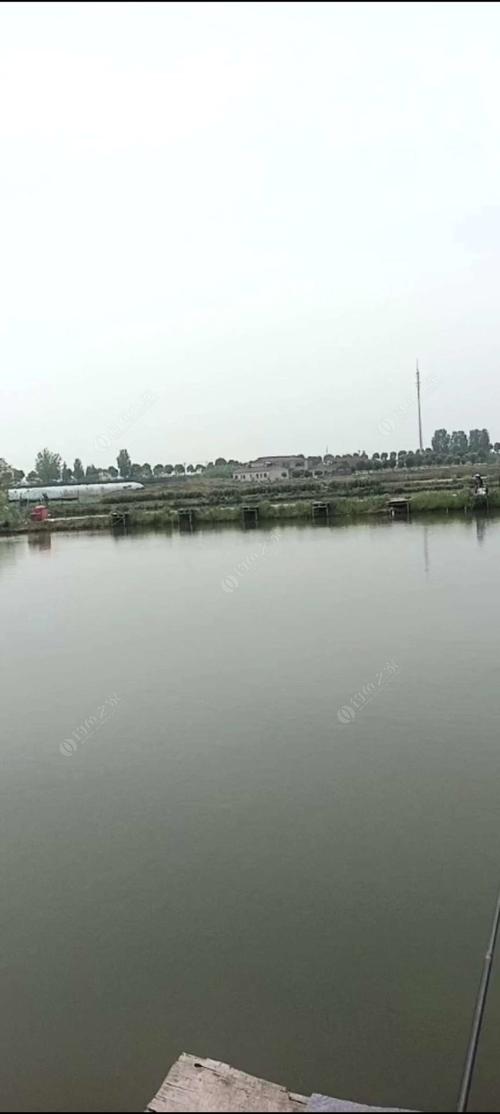 钓鱼按斤塘还是按天划算?斤塘收费规则-图3 钓鱼按斤塘还是按天划算?斤塘收费规则-图3