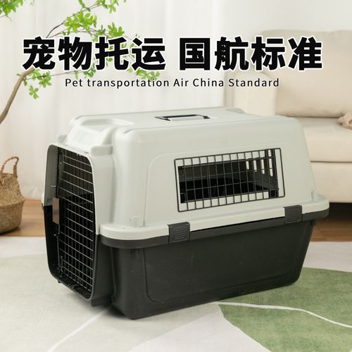 南航宠物托运能用4号航空箱吗？南航空运小动物收费标准