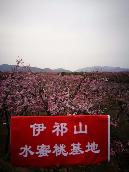 顺平桃花节伊祁山要门票吗?顺平伊祁山景区收费吗-图2 顺平桃花节伊祁山要门票吗?顺平伊祁山景区收费吗-图2