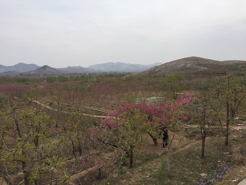顺平桃花节伊祁山要门票吗?顺平伊祁山景区收费吗-图3 顺平桃花节伊祁山要门票吗?顺平伊祁山景区收费吗-图3