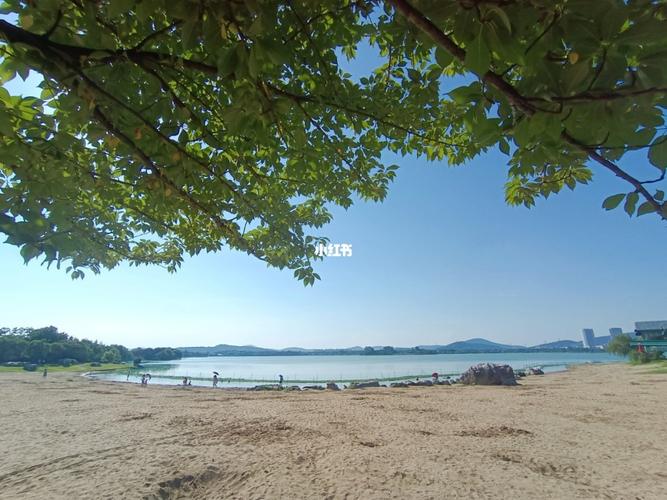 无锡逍遥岛介绍？无锡渔父岛沙滩停车收费