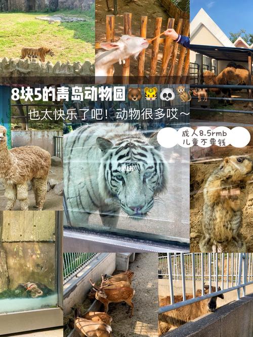 请问青岛的动物园哪里的最好？门票大概多少钱？青岛中山公园动物园收费吗