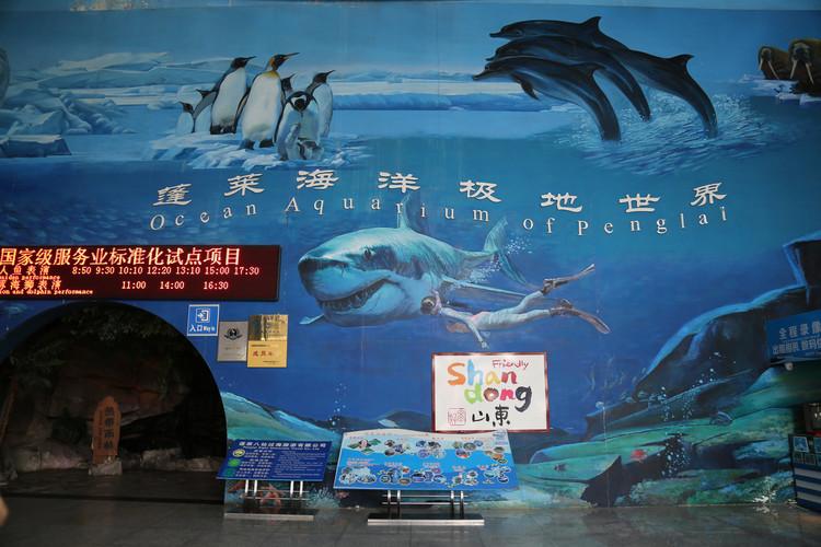 蓬莱海洋极地世界蓬莱人购票有优惠么?蓬莱极地海洋世界收费标准-图1 蓬莱海洋极地世界蓬莱人购票有优惠么?蓬莱极地海洋世界收费标准-图1