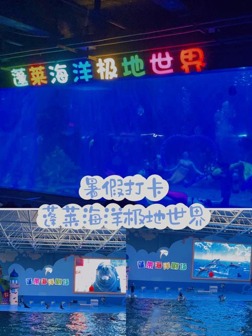 蓬莱海洋极地世界蓬莱人购票有优惠么?蓬莱极地海洋世界收费标准-图2 蓬莱海洋极地世界蓬莱人购票有优惠么?蓬莱极地海洋世界收费标准-图2