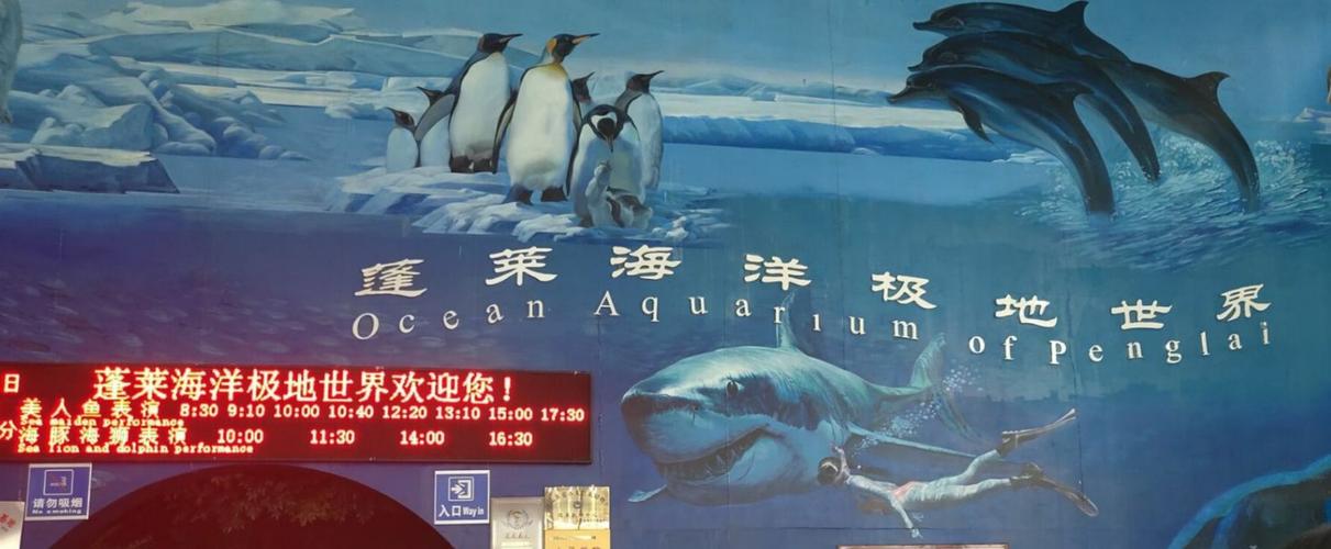 蓬莱海洋极地世界蓬莱人购票有优惠么?蓬莱极地海洋世界收费标准-图3 蓬莱海洋极地世界蓬莱人购票有优惠么?蓬莱极地海洋世界收费标准-图3