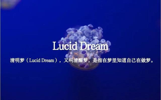 什么是控梦?探索梦号网络收费-图3 什么是控梦?探索梦号网络收费-图3