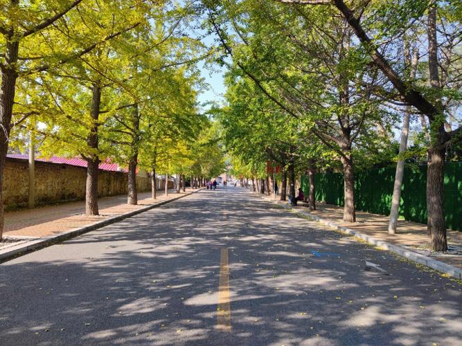 在旅顺去太阳沟坐几路车？旅顺公交收费