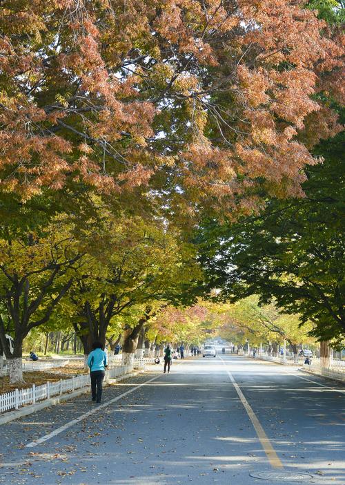 在旅顺去太阳沟坐几路车?旅顺公交收费-图3 在旅顺去太阳沟坐几路车?旅顺公交收费-图3