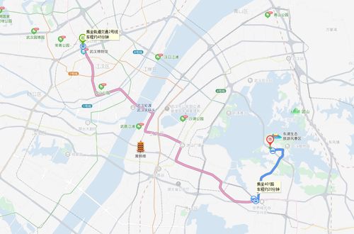 武汉梨园下车怎么去东湖?武汉市909路公交收费-图3 武汉梨园下车怎么去东湖?武汉市909路公交收费-图3