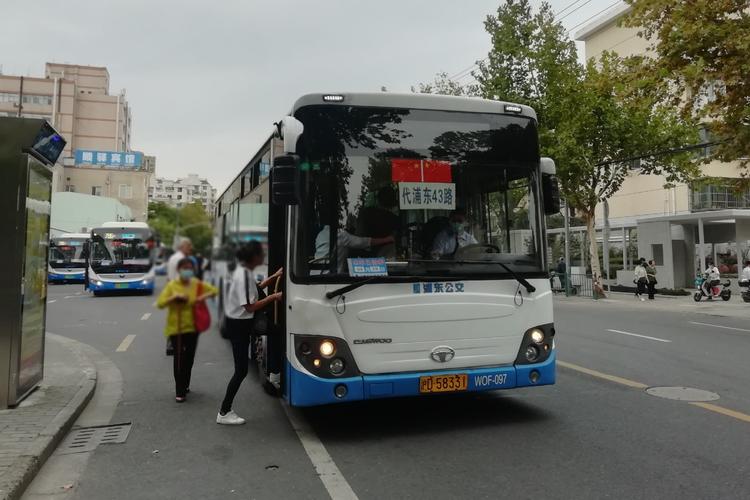 tsay是什么品牌?上海977路公交车收费-图1 tsay是什么品牌?上海977路公交车收费-图1