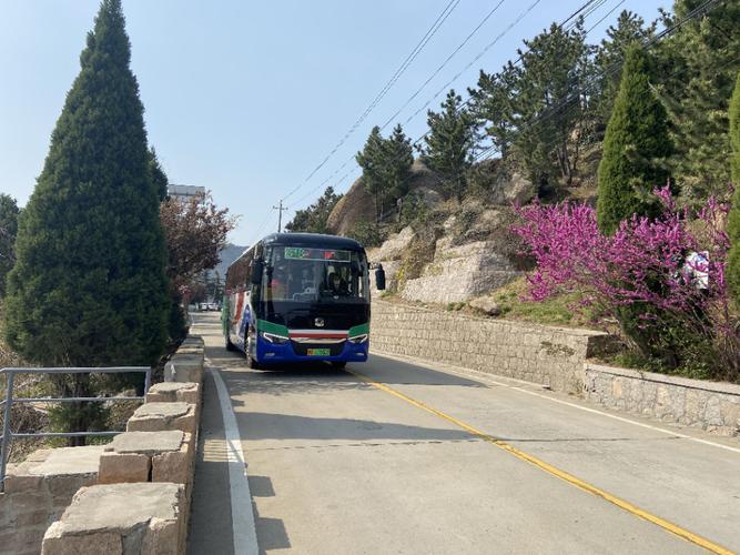 在青岛市区可以坐几路车到崂山?青岛371公交收费-图3 在青岛市区可以坐几路车到崂山?青岛371公交收费-图3