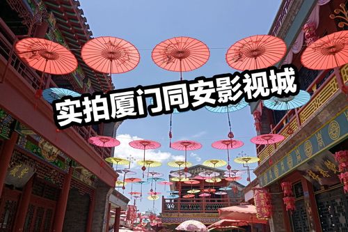 厦门中山路去同安影视城怎么坐车?厦门公交650收费-图3 厦门中山路去同安影视城怎么坐车?厦门公交650收费-图3