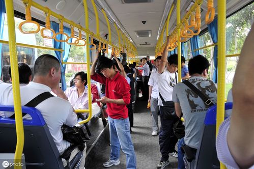 沈阳市公交车324路爱心卡能用吗?324公交车怎么收费-图2 沈阳市公交车324路爱心卡能用吗?324公交车怎么收费-图2