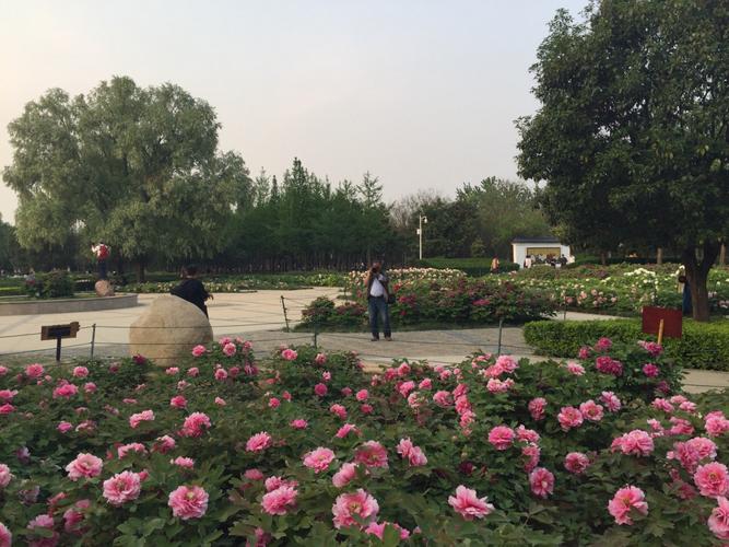隋唐遗址植物园五一要门票不?隋唐遗址五一期间收费吗-图3 隋唐遗址植物园五一要门票不?隋唐遗址五一期间收费吗-图3
