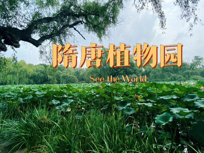 2023年8月隋唐遗址植物园免门票吗?隋唐植物园收费吗-图3 2023年8月隋唐遗址植物园免门票吗?隋唐植物园收费吗-图3