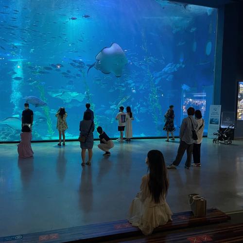 济州岛海底世界怎么坐公交车?济州岛公交怎么收费-图3 济州岛海底世界怎么坐公交车?济州岛公交怎么收费-图3