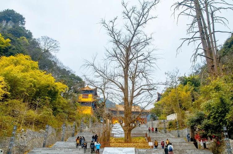东山寺怎么进去?福州33路公交车收费-图3 东山寺怎么进去?福州33路公交车收费-图3