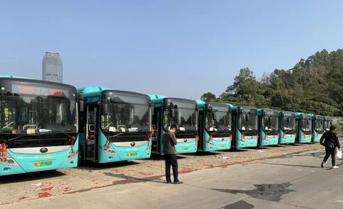 公交车起步一元什么意思?惠阳的公交车收费情况-图3 公交车起步一元什么意思?惠阳的公交车收费情况-图3