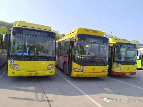 黄石48路多久一趟？黄石18路车收费