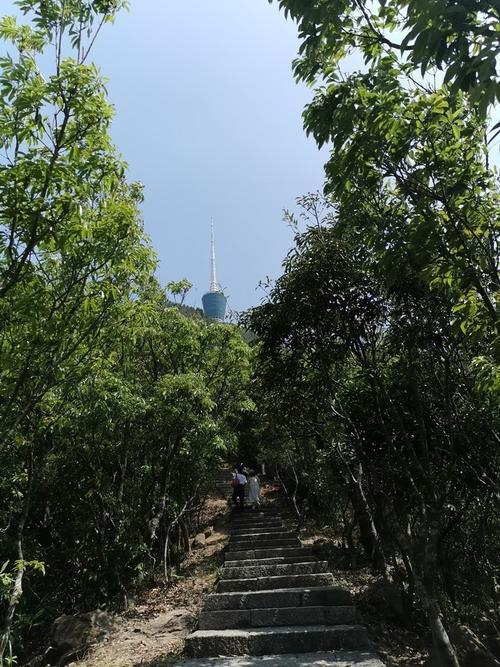 从梧桐山村上大梧桐收费不？深圳梧桐山收费