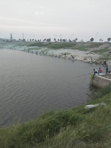 胶州红旗水库钓鱼收费吗?胶州公交车收费-图3 胶州红旗水库钓鱼收费吗?胶州公交车收费-图3