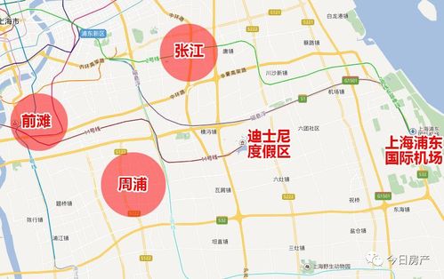 上海南汇区周浦镇建韵路?上海175路收费-图1 上海南汇区周浦镇建韵路?上海175路收费-图1