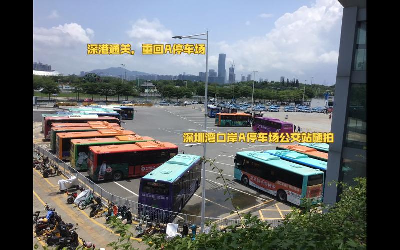 深圳湾口岸附近停车场那个好?深圳湾口岸公交车收费-图2 深圳湾口岸附近停车场那个好?深圳湾口岸公交车收费-图2