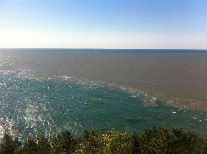 黄渤海分界线风景区开放时间?旅顺黄渤海风景线收费吗-图1 黄渤海分界线风景区开放时间?旅顺黄渤海风景线收费吗-图1