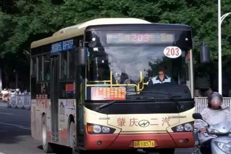 肇庆公交是否已恢复正常运行?肇庆303公交收费-图2 肇庆公交是否已恢复正常运行?肇庆303公交收费-图2