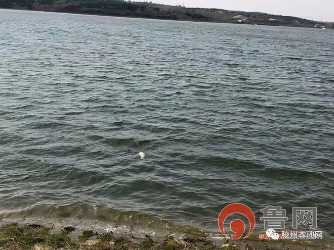 胶州十大水库排名？胶州到文登物流怎么收费