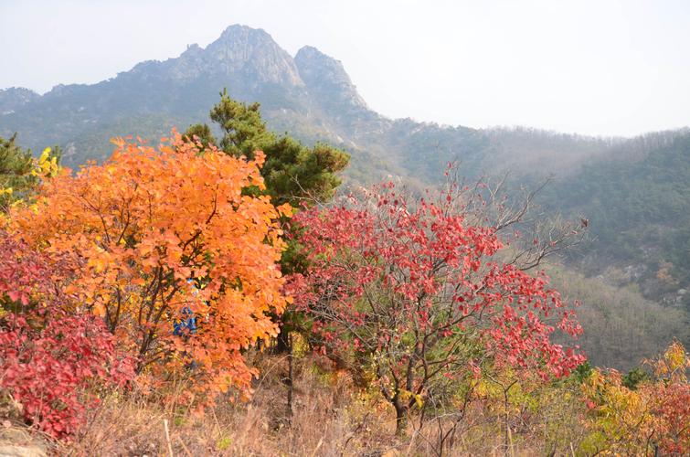 栖霞艾山风景区门票多少啊?团体打折么?公司想十一的时候组织去游玩?栖霞艾山风景区收费吗-图2 栖霞艾山风景区门票多少啊?团体打折么?公司想十一的时候组织去游玩?栖霞艾山风景区收费吗-图2