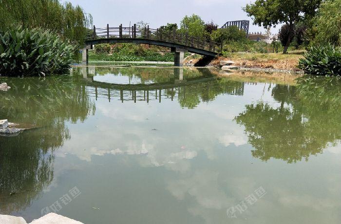 蚌埠最佳的野外垂钓场所?五河收费垂钓地方-图3 蚌埠最佳的野外垂钓场所?五河收费垂钓地方-图3