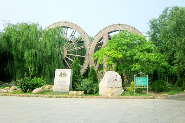 寿光自驾游最好的景点排名?寿光人去林海收不收费-图2 寿光自驾游最好的景点排名?寿光人去林海收不收费-图2