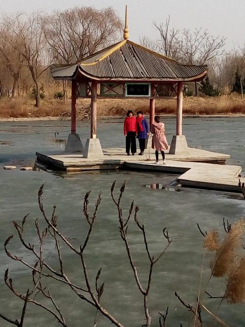 寿光自驾游最好的景点排名?寿光人去林海收不收费-图3 寿光自驾游最好的景点排名?寿光人去林海收不收费-图3