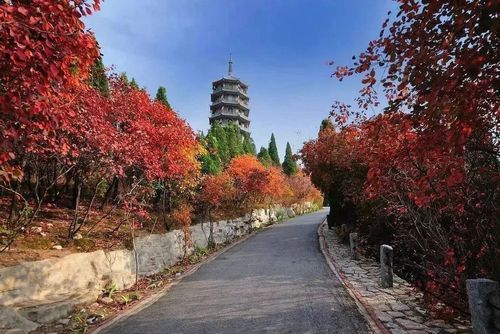 北京16处赏红叶最佳地?戒台寺停车场收费-图2 北京16处赏红叶最佳地?戒台寺停车场收费-图2