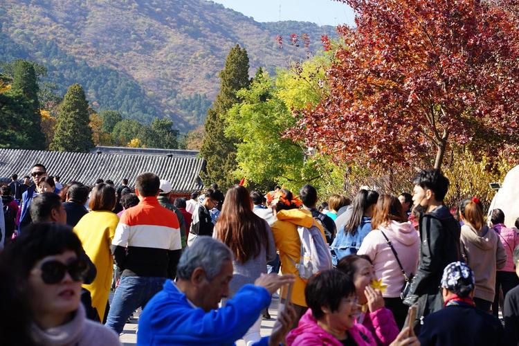 北京16处赏红叶最佳地?戒台寺停车场收费-图3 北京16处赏红叶最佳地?戒台寺停车场收费-图3