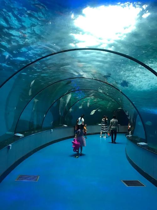 济南动物园的园区介绍?济南动物园内的海洋馆的收费-图2 济南动物园的园区介绍?济南动物园内的海洋馆的收费-图2