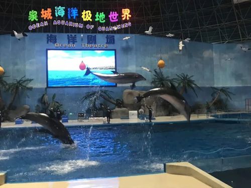 济南动物园的园区介绍?济南动物园内的海洋馆的收费-图3 济南动物园的园区介绍?济南动物园内的海洋馆的收费-图3