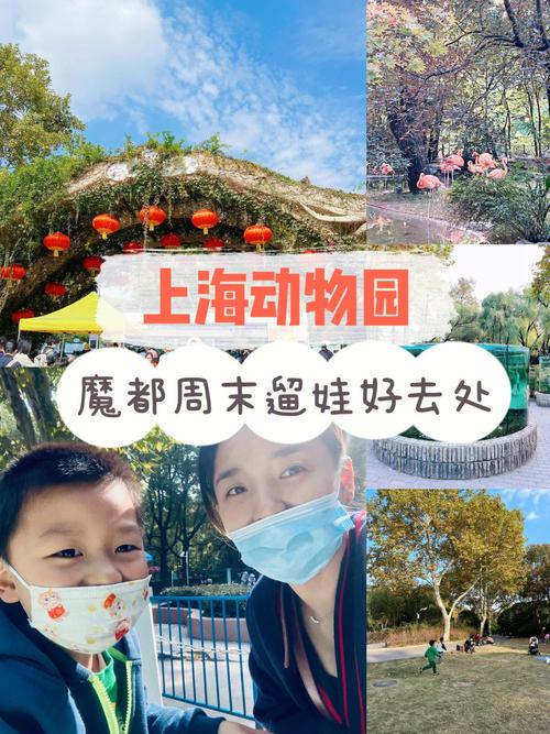 上海动物园退票规定？上海动物园停车怎么收费