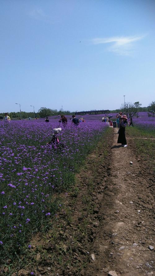 苏州西京湾要门票吗?北海道景点停车场收费吗-图2 苏州西京湾要门票吗?北海道景点停车场收费吗-图2