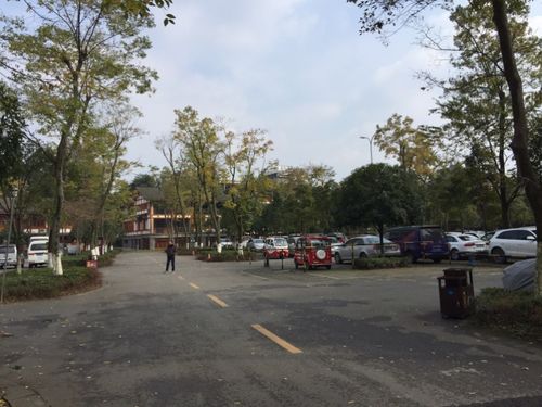 街子古镇有划龙舟吗?街子古镇停车场收费吗-图2 街子古镇有划龙舟吗?街子古镇停车场收费吗-图2