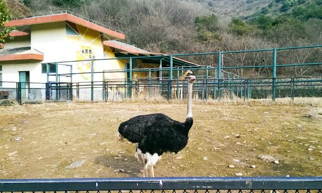 无锡有哪些旅游景区？葫芦岛龙背山动物园收费吗