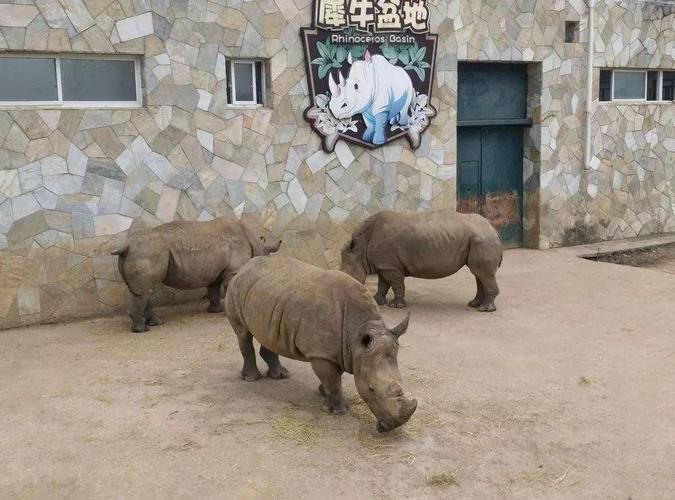 无锡有哪些旅游景区?葫芦岛龙背山动物园收费吗-图2 无锡有哪些旅游景区?葫芦岛龙背山动物园收费吗-图2