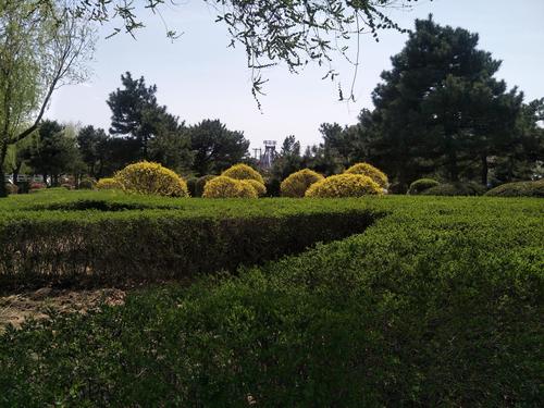 赤峰哪里卖竹草帚的？通辽西拉木伦公园收费吗