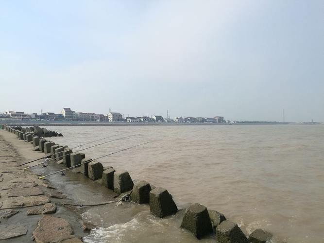 免费旅游景点,上海哪些旅游景点免费？金山嘴渔村有停车收费吗