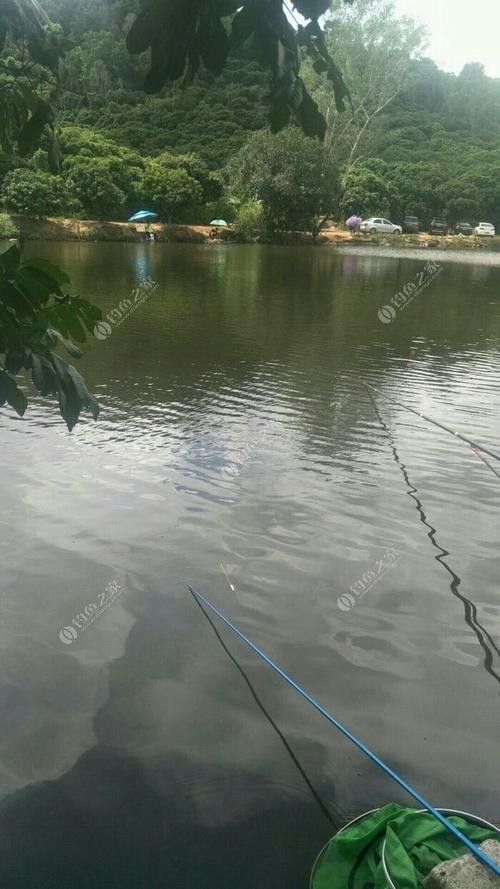 虎门葫芦水库钓鱼地点?五点梅钓鱼在哪收费-图2 虎门葫芦水库钓鱼地点?五点梅钓鱼在哪收费-图2