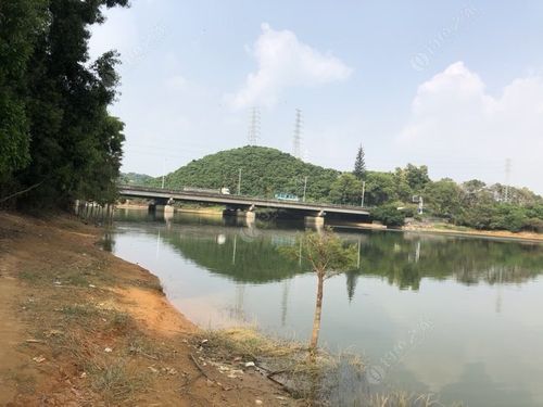 虎门葫芦水库钓鱼地点?五点梅钓鱼在哪收费-图3 虎门葫芦水库钓鱼地点?五点梅钓鱼在哪收费-图3